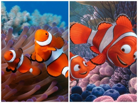 Marlin si Nemo, Finding Nemo