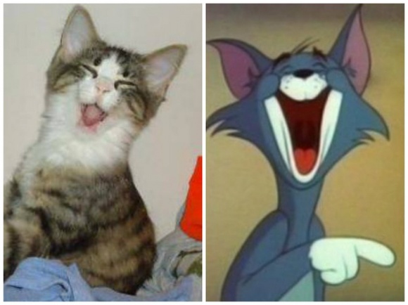 Tom, Tom si Jerry