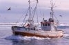 Uniunea Europeana va impune amenzi mai mari pentru pescuitul ilegal