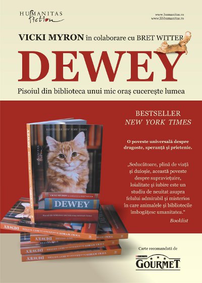 Dewewy 