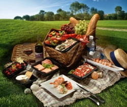 picnicul
