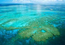 recife corali