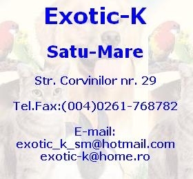 Satu Mare: EXOTIC K – accesorii si hrana pentru animale