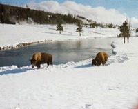 Craciunul in primul parc national din lume