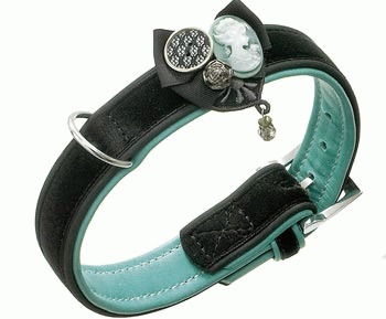 Lesa, bolul pentru mancare si alte accesorii pentru caini