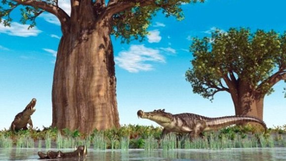 Crocodilul cu picioare de dinozaur – a trăit cu milioane de ani înaintea dinozaurilor