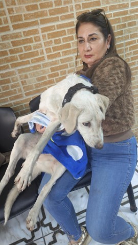 Și tu poți ajuta! sursa foto Animal Heroes.eu