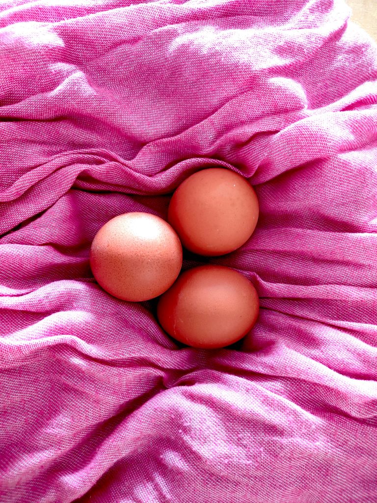Gâinile au nevoie de calciu pentru coaja ouălor. sursa foto pexels.com