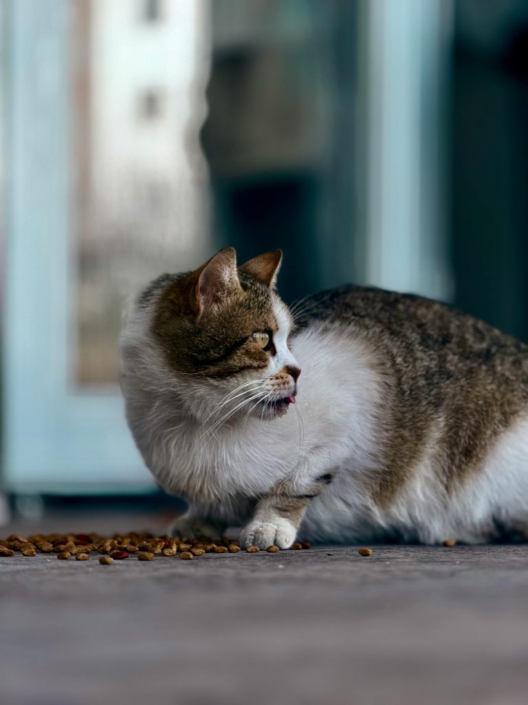Metalele provin din ambalaje sau din material primă. sursa foto pexels.com