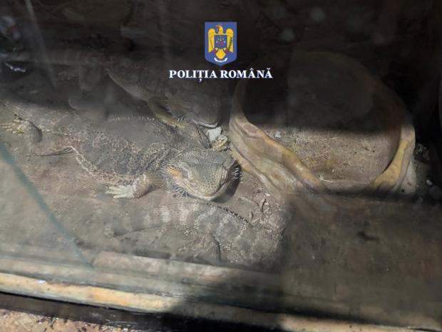 Sursa foto Poliția Română