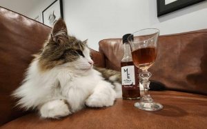 Băuturi premium pentru animale de companie: O inovație din Noua Zeelandă