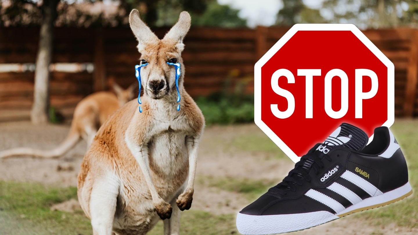 Adidas nu a renunțat la pielea de cangur pentru încălțăminte. sursa foto pexels.com