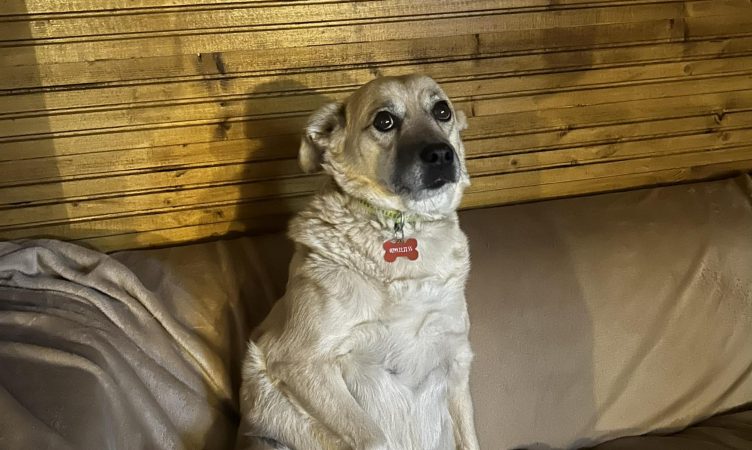 Costi de la Kola Kariola vine la Festivalul “Femei pe Mătăsari”