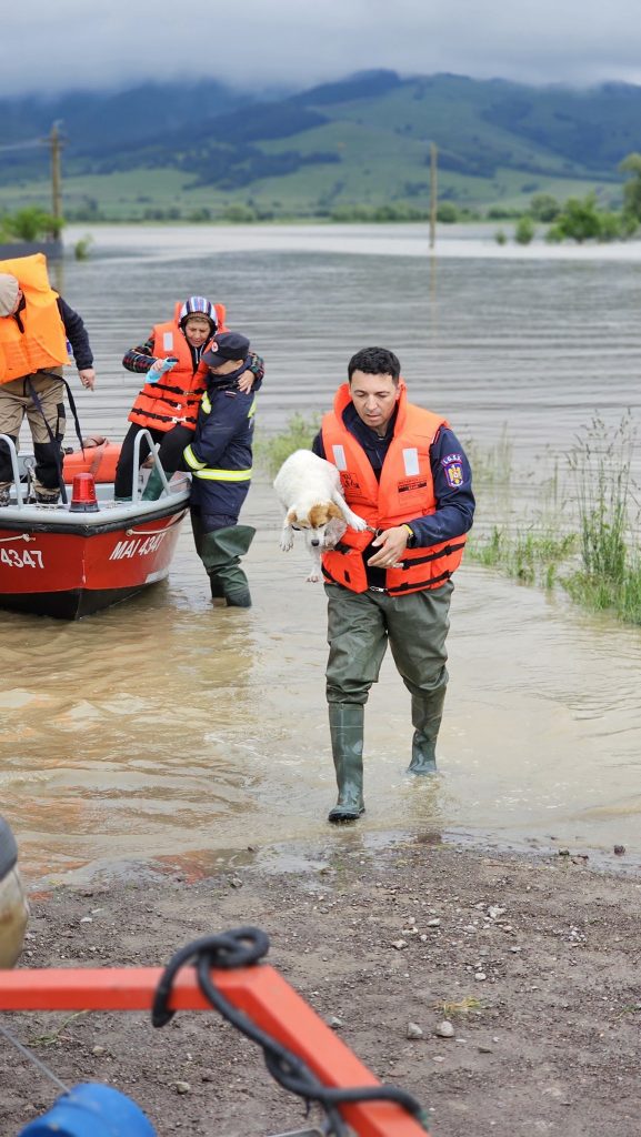 Asigurați-vă că animalele sunt în afara oricărui pericol și au hrană sau apă. sursa foto Facebook IGSU