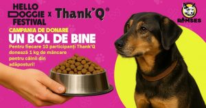 Donează mâncare pentru câinii din adăposturi la Hello Doggie Festival, campania Un Bol de Bine