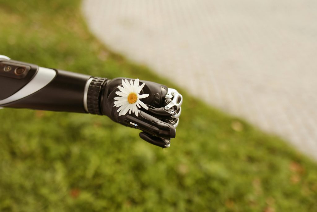 Un robot este folosit pentru conservarea biodiversității, în Spania. sursa foto pexels