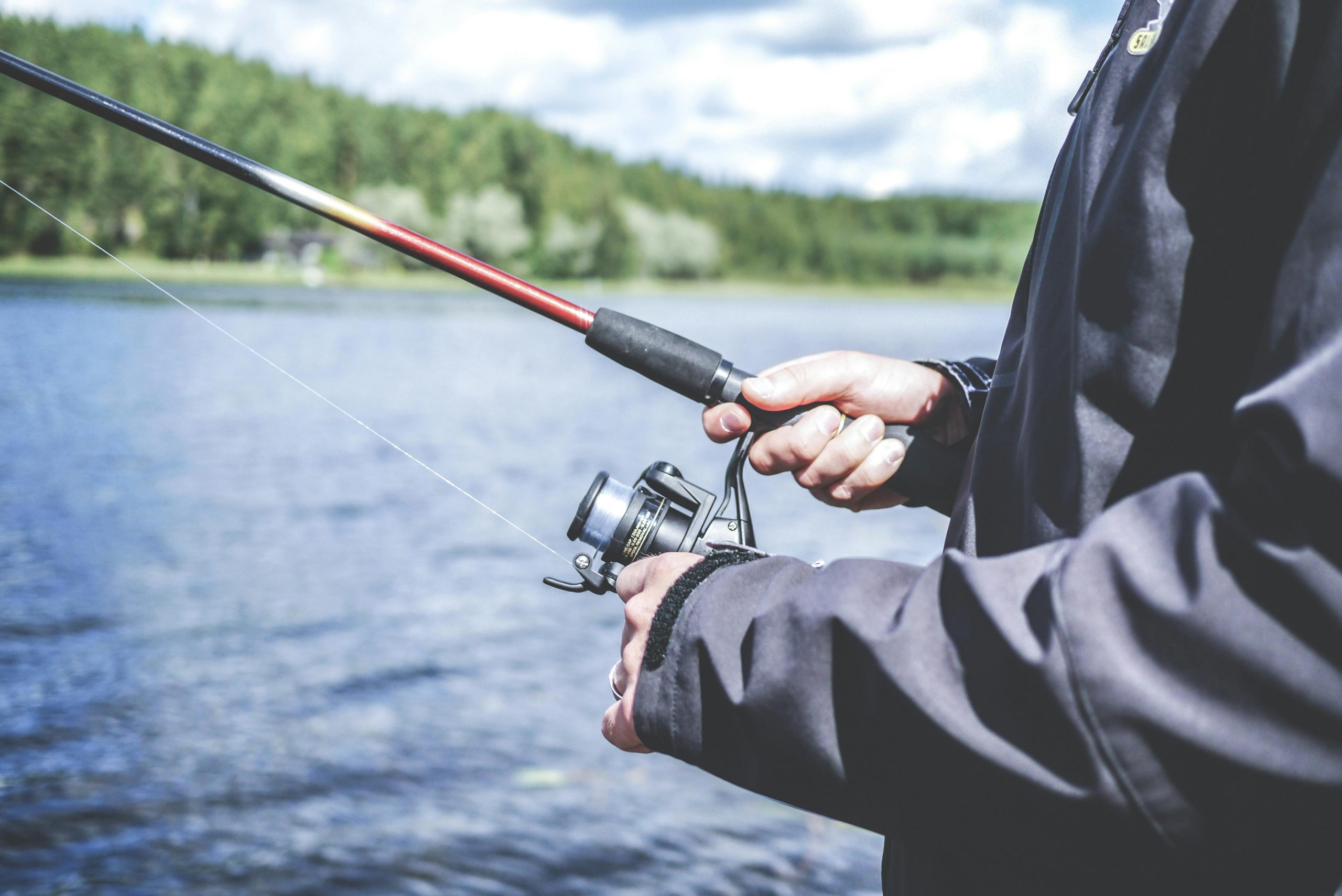 Pescuitul pe lacul Ciuperca, în Tulcea, a început. sursa foto pexels.com