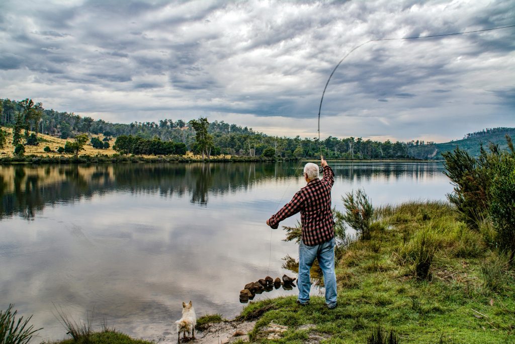 Permisul se poate obține și online. sursa foto pexels.com