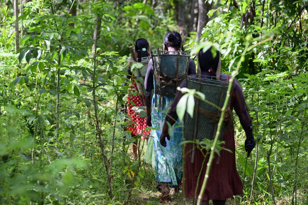 Miliardarul susținecă doar indigenii pot ajuta la refacerea pădurii. sursa foto profimedia