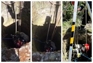 Un cățel a fost salvat de pompieri dintr-un canal de 20 de metri. Dacă nu interveneau rapid, nu avea nicio șansă de supraviețuire
