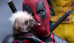 Povestea lui Peggy, cățelușa urâtă care a ajuns faimoasă la Hollywood. A apărut în filmul „Deadpool & Wolverine”