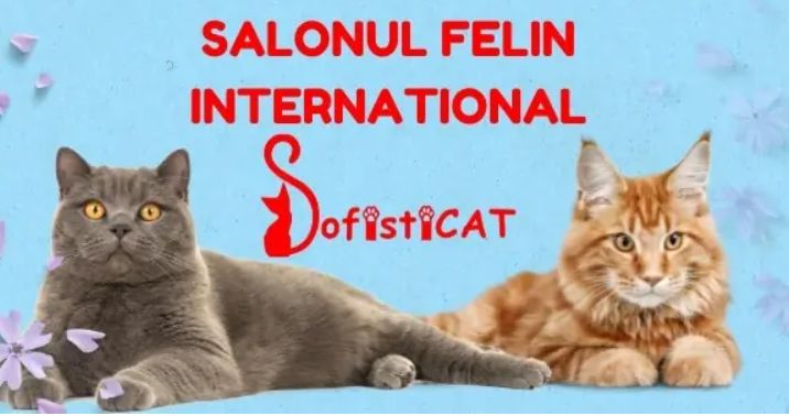 Salonul Felin Internațional SofistiCAT va avea loc în weekend-ul 10-11 martie 2025, la Sala Palatului