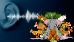 7 animale care pot fi auzite de la distanțe mari