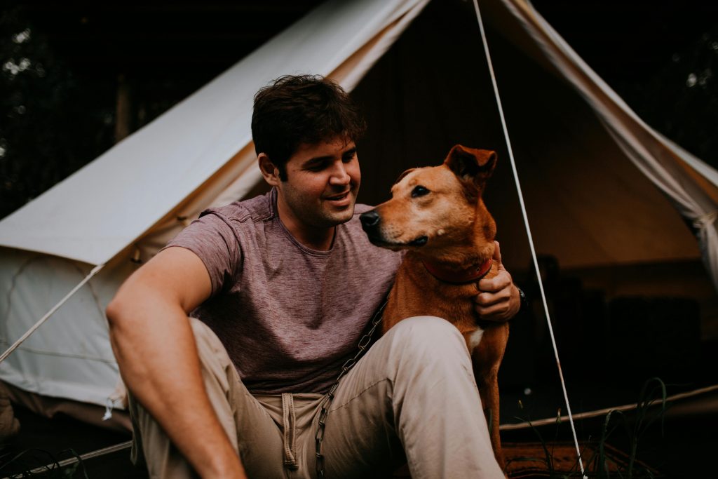 Animalele de companie sunt mai importante pentru Gen Z decât relațiile interumane. sursa foto pexels.com