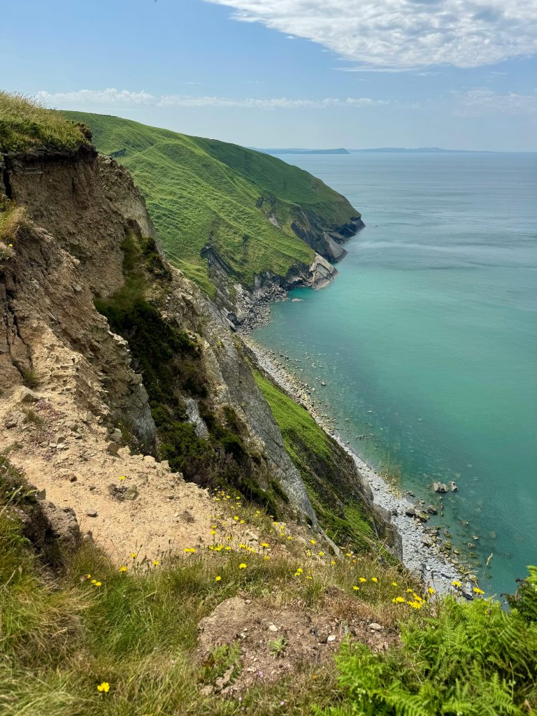 Culoarea oceanelor este strâns legată de chimia apei și de influența vieții. sursa foto pexels.com