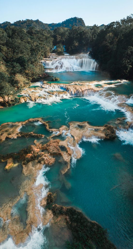 Fotosinteza timpurie a dus la „marea oxigenare” – un moment ecologic major care a făcut posibilă viața complexă pe Pământ. sursa foto pexels.com
