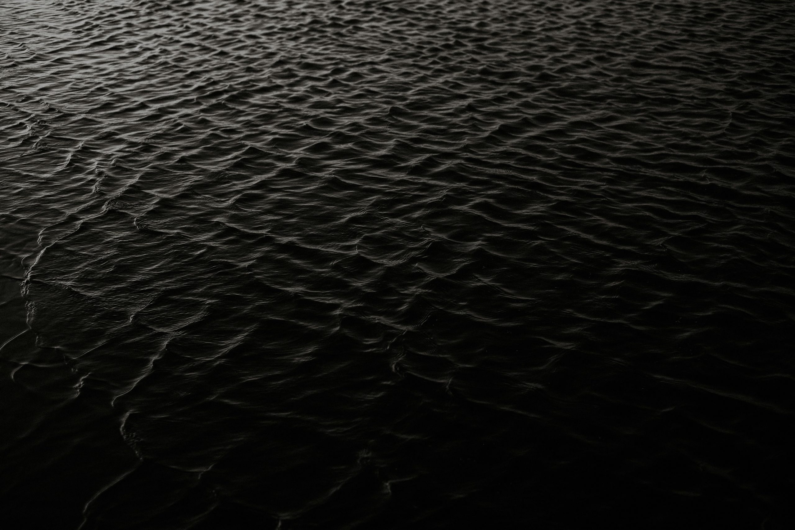 Oceanul devine tot mai întunecat. sursa foto pexels.com