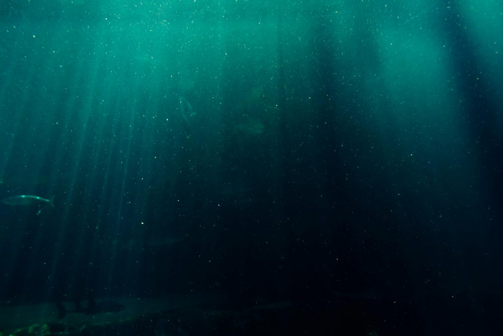 Ce se întâmplă cu lumina din ocean, pe timp de noapte. sursa foto pexels.com