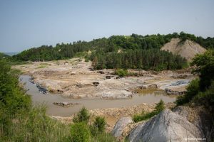 Peștii mor pe Corund și Târnava Mică, în urma catastrofei de la Salina Praid