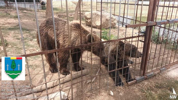 Grădină zoologică ilegală în Dâmbovița. Animalele sălbatice erau ținute în cuști, în condiții deplorabile