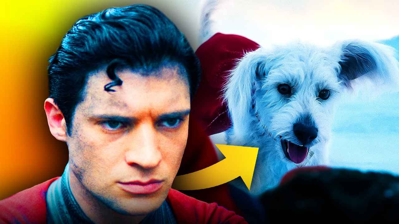 Filmul Superman reușește să crească numărul adopțiilor câinilor. sursa foto DC Studio
