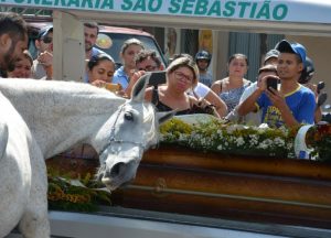 Poveste cutremurătoare! Un cal și-a condus stăpânul pe ultimul drum: gestul care a sfâșiat inimile tuturor