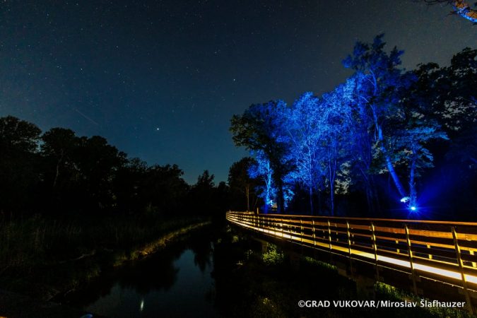 Parcul Forestier Adica din Vukovar, Croația, respectă natura prin pasarela sa inedită