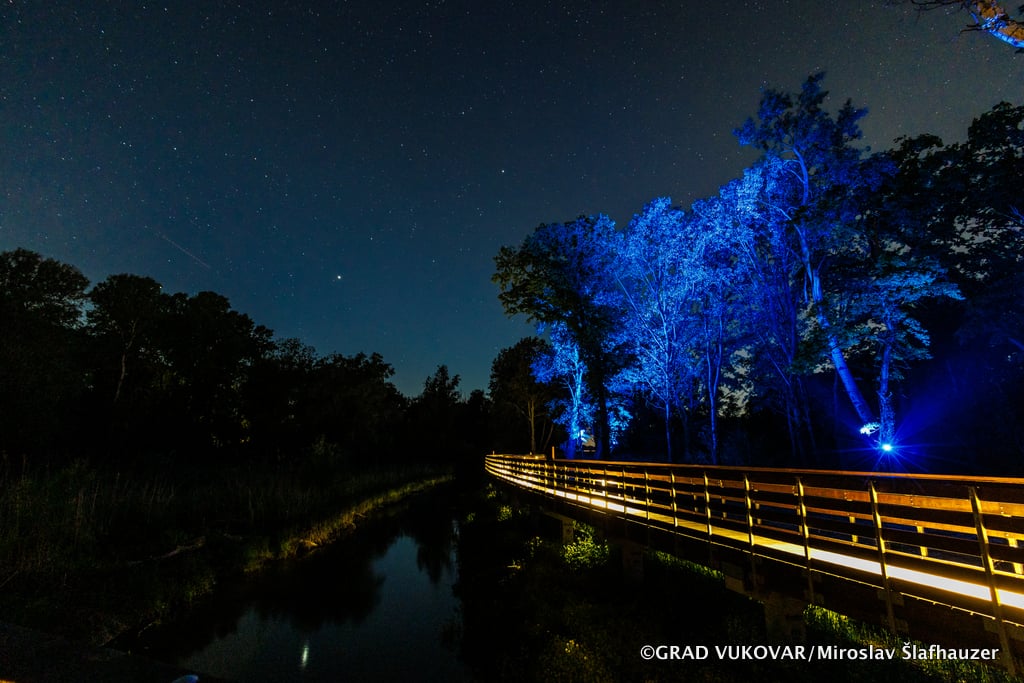 Parcul Forestier Adica din Vukovar, Croația, respectă natura prin pasarela sa inedită
