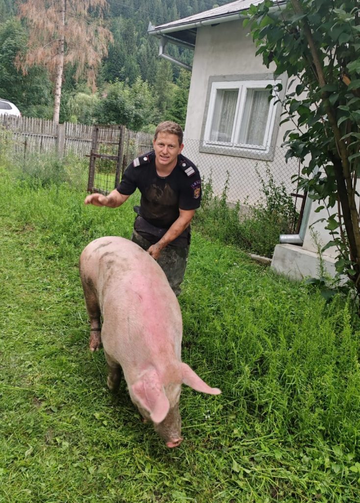 ANSVA tratează gratuit animalele vii pe care le găsesc. sursa foto Facebook DSU