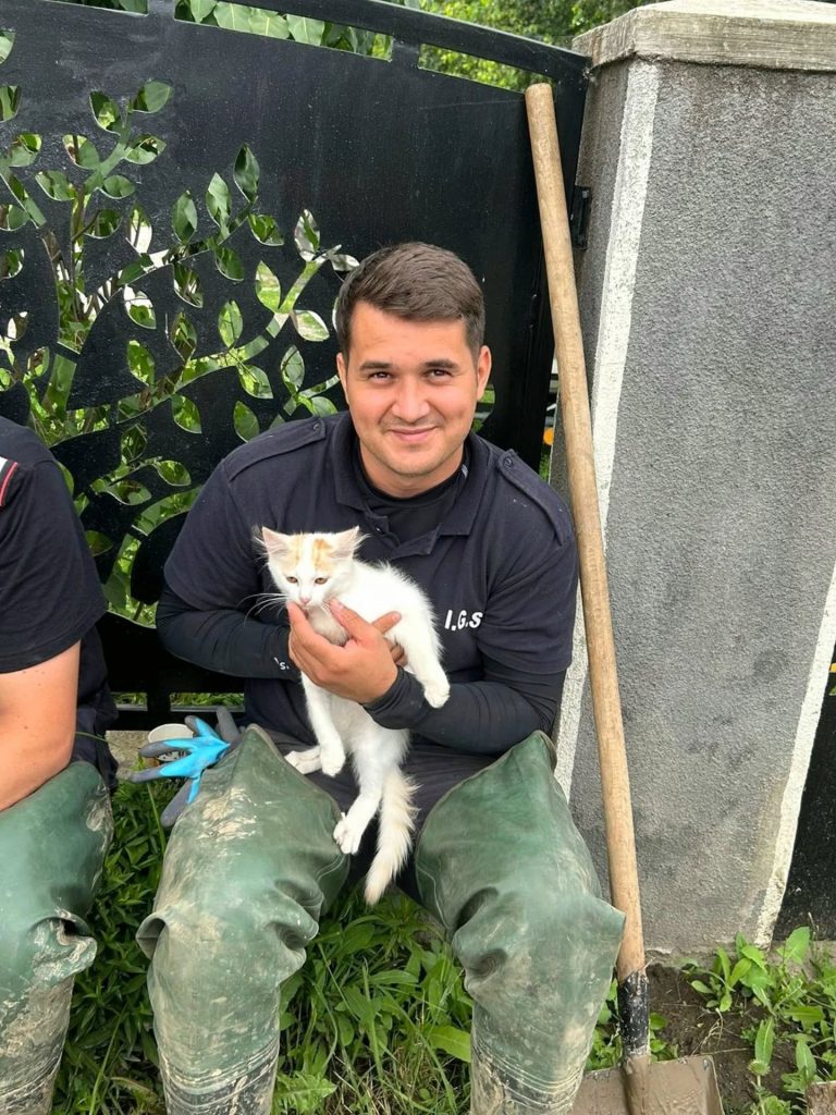 Oamenii din zonă au pierdut peste 1.000 de animale de pe bătătură. sursa foto Facebook DSU