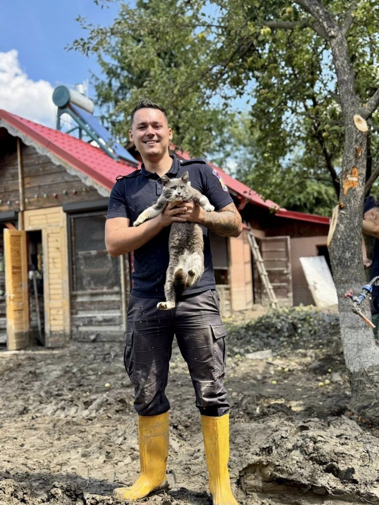 Stârvurile găsite vor fi îngropate. sursa foto Facebook DSU 