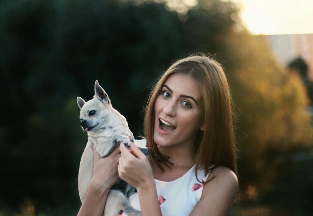 Câinii sunt animalele de companie preferate de italieni. sursa foto pexels.com