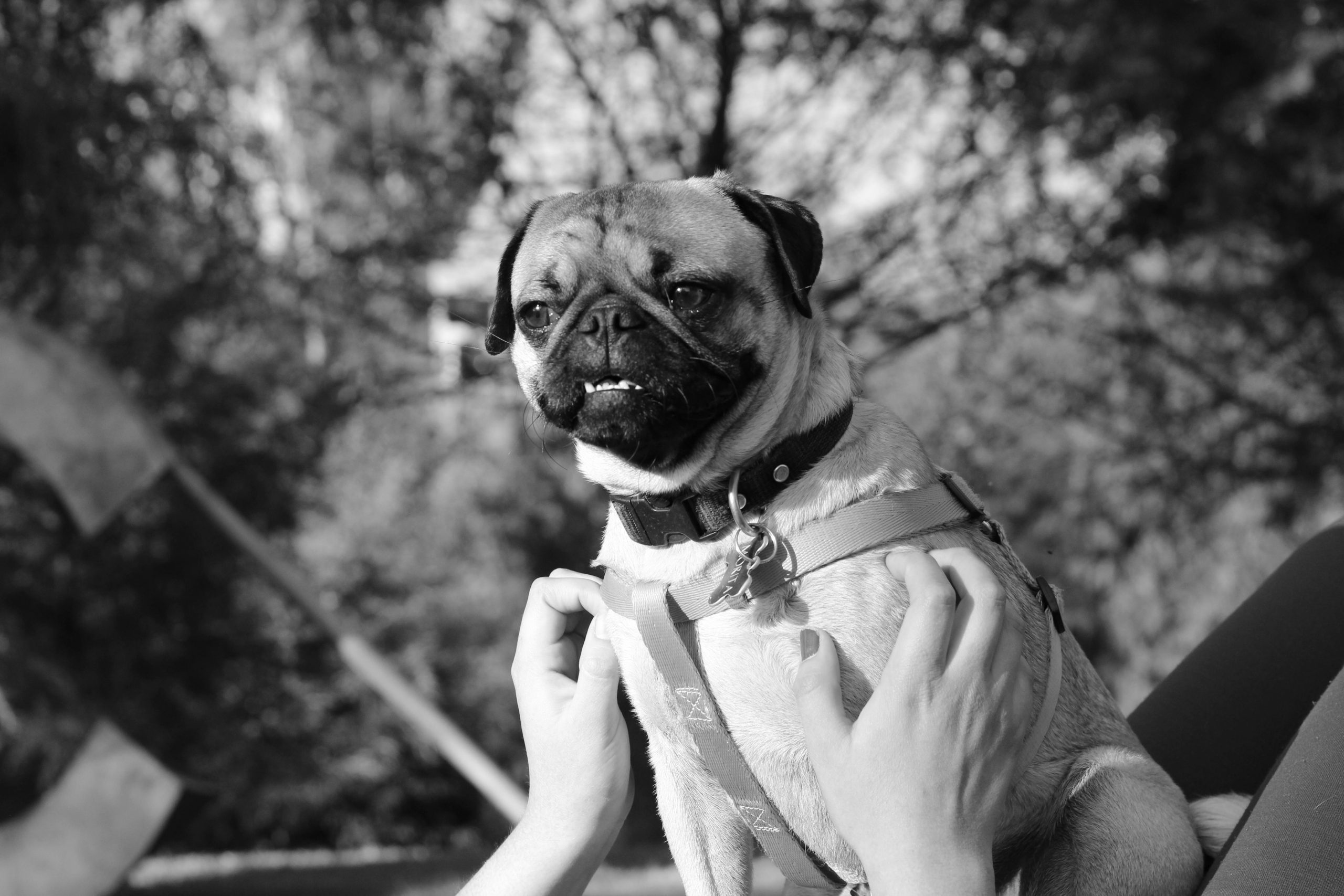Lesele foarte murdare se vor spăla mai des. sursa foto pexels.com