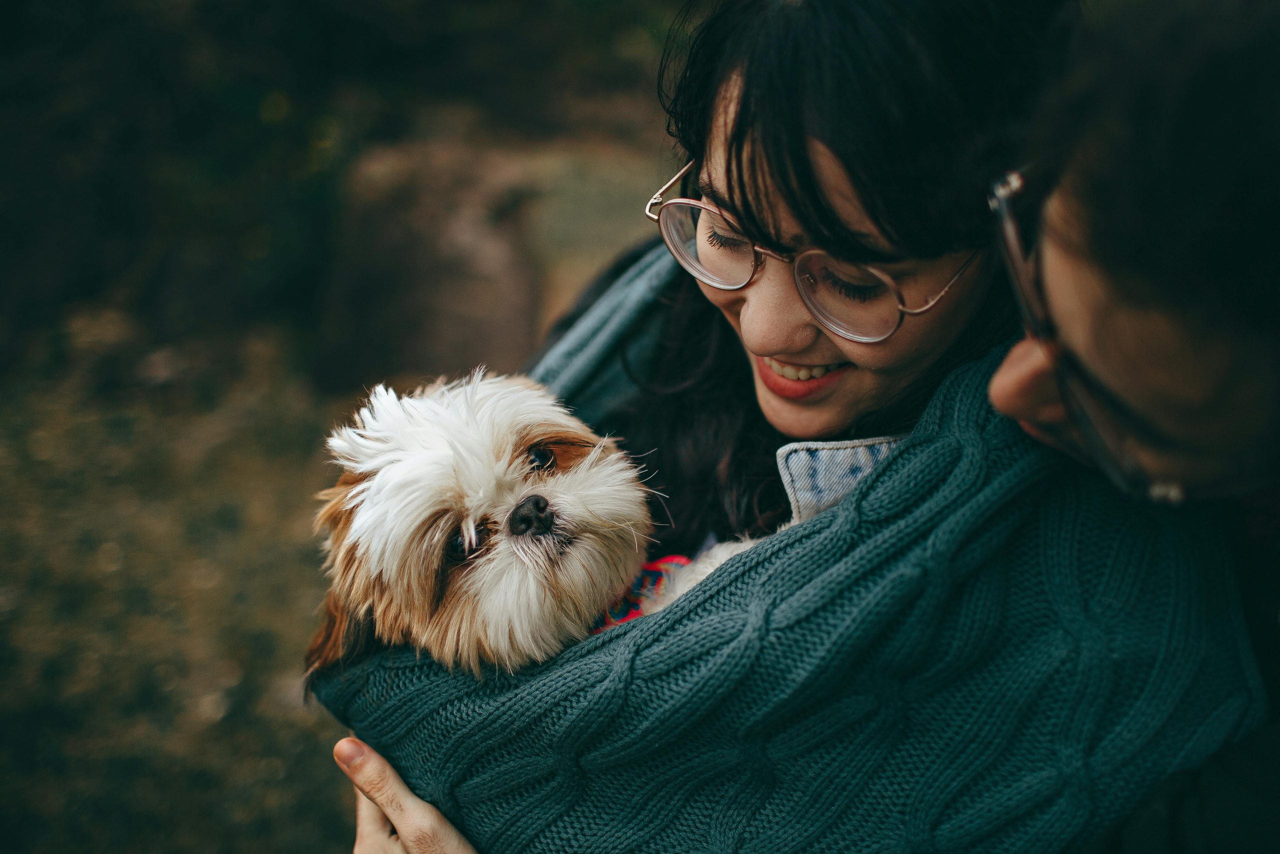 Comportamentul câinelui îți poate influența calitatea vieții. sursa foto pexels.com