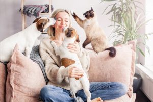 S-a lansat LolaPet- o nouă platformă de pet sitting pe bază de invitație