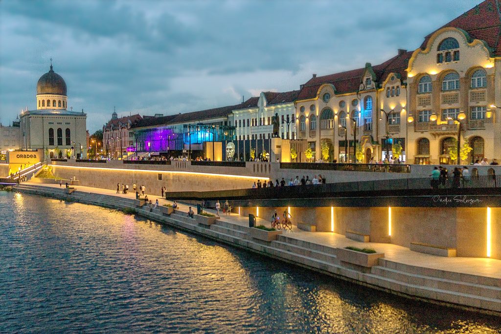 Oradea va permite accesul în diverse locuri din oraș doar câinilor cu atestat. sursa foto pexels.com