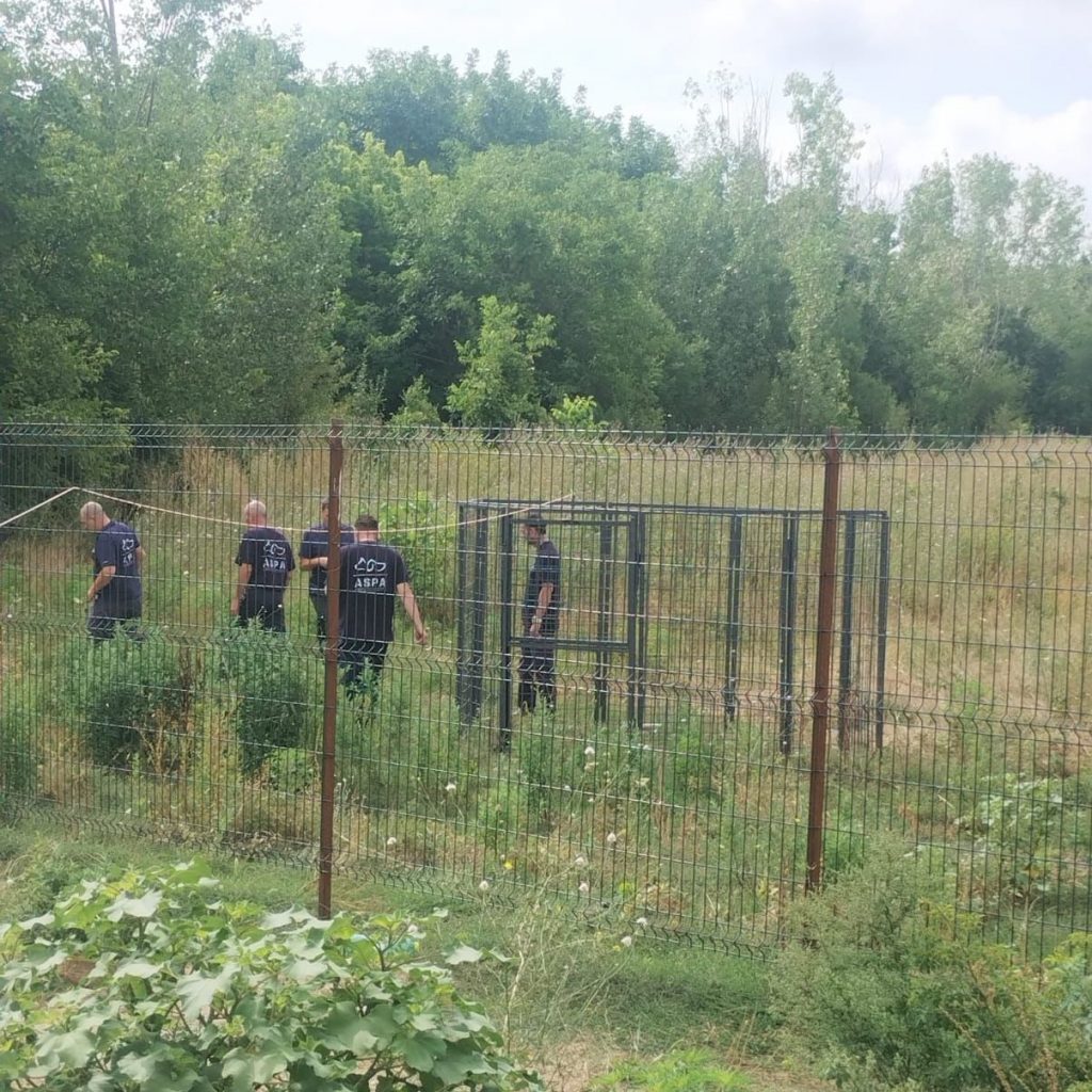 Asociația va trata toți câinii prinși și apoi îi va da spre adopție. sursa foto Facebook ASPA București