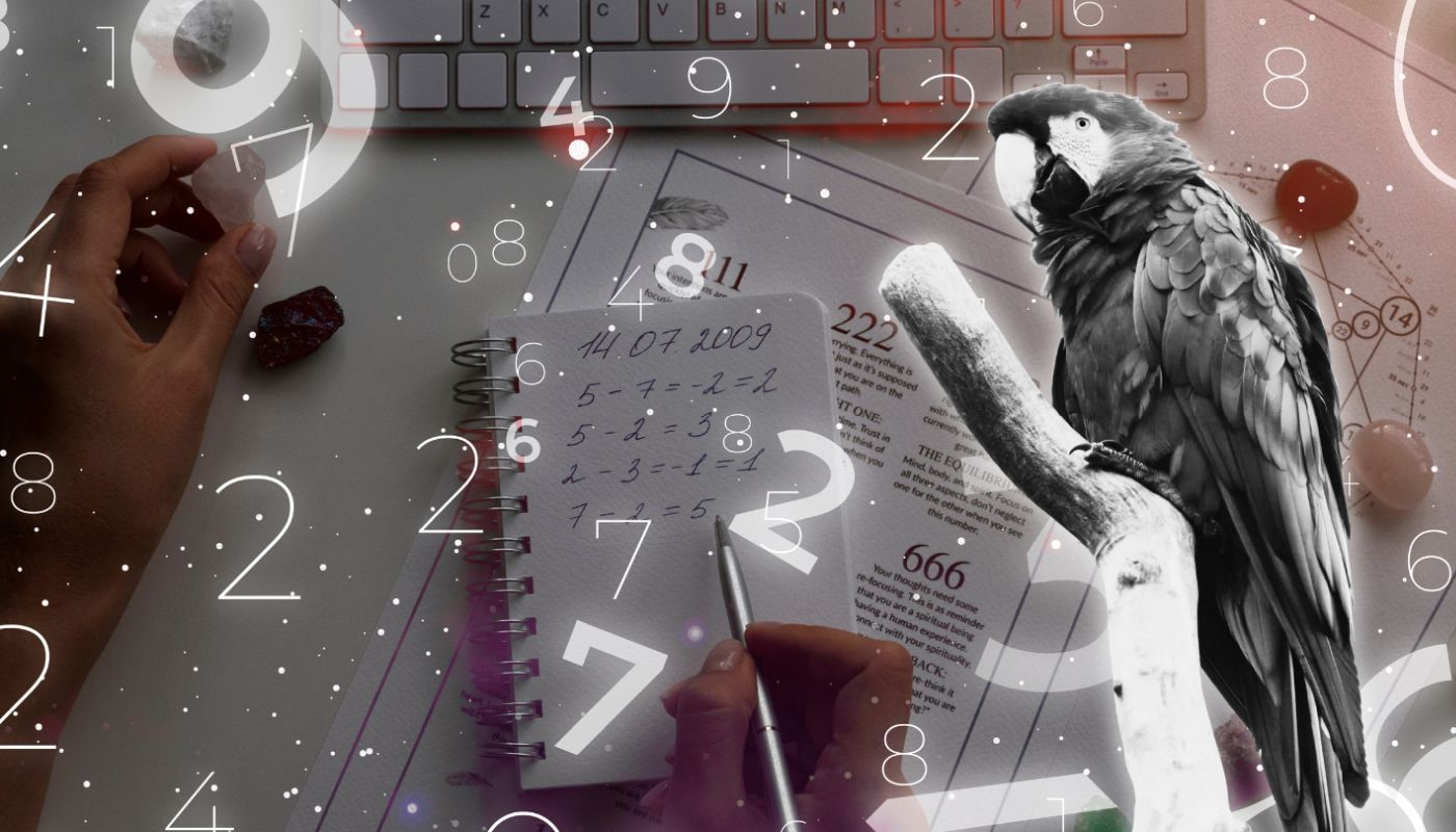 Ce animale pot număra și înțelege matematica de bază? sursa foto pexels.com