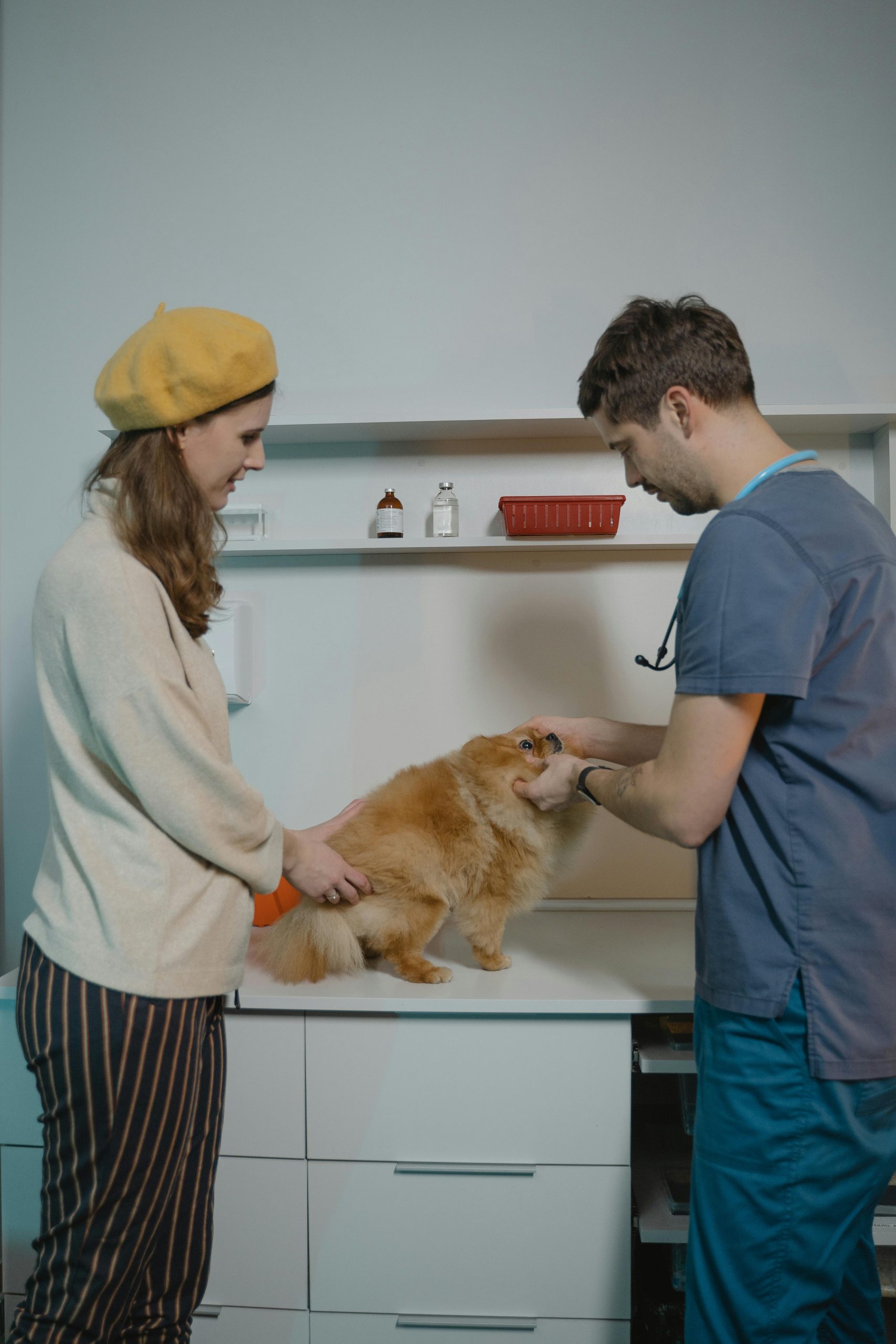 Există și hăinuțe speciale care i-ar putea ajuta. sursa foto pexels.com