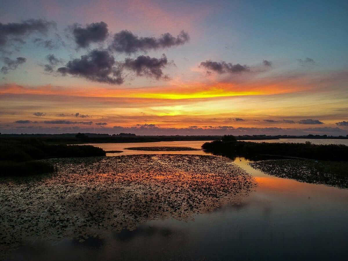 Delta Dunării, în fața celei mai grave crize ecologice din ultimii 20 de ani. Sursa foto Facebook Plimbari cu barca Delta Dunarii - Murighiol